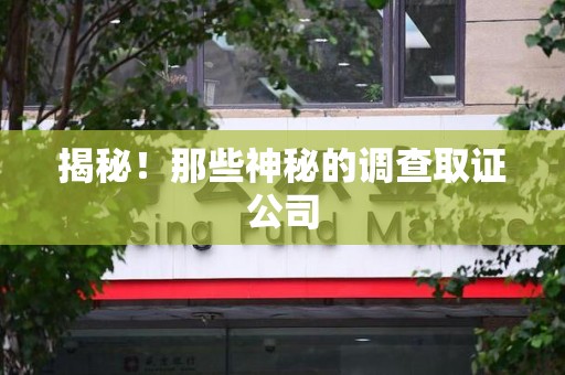 昌江揭秘！那些神秘的调查取证公司